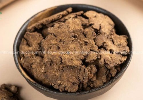 VỊ THUỐC XUYÊN KHUNG CHÍCH RƯỢU  - DƯỢC LIỆU NINH HIỆP