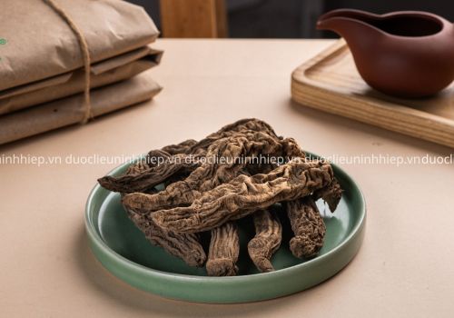 Dược liệu Bách Bộ - Dược Liệu Ninh Hiệp