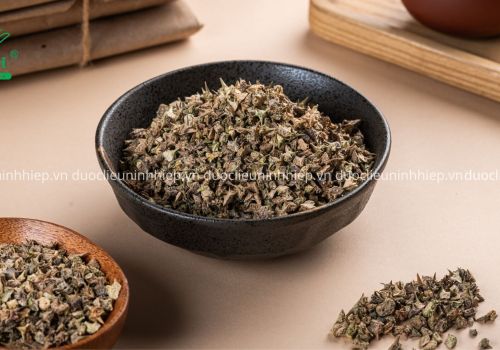 Dược liệu Bạch tật lê - Dược Liệu Ninh Hiệp