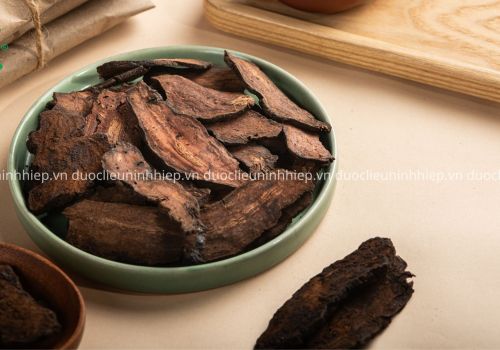 Vị thuốc Hà thủ ô đỏ - Dược liệu Ninh Hiệp