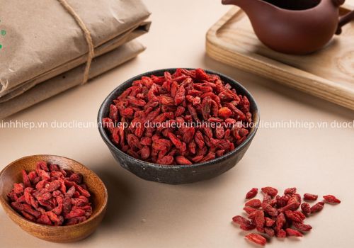 CÂU KỶ TỬ - DƯỢC LIỆU NINH HIỆP
