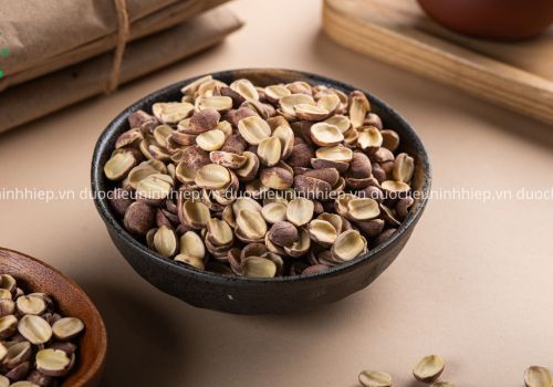 Vị thuốc Liên Nhục - Dược liệu Ninh Hiệp
