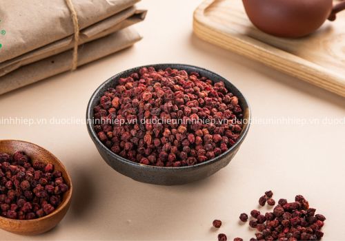 Dược liệu Ngũ vị tử - Dược Liệu Ninh Hiệp