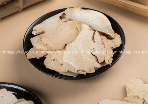Dược liệu Tỳ Giải - Dược liệu Ninh Hiệp
