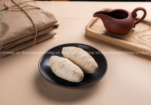 Dược liệu Trạch Tả - Dược liệu Ninh Hiệp