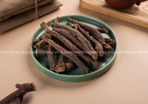 Vị thuốc Xích thược - Dược liệu Ninh Hiệp
