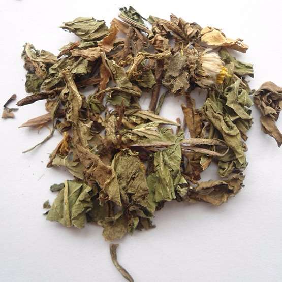 Bồ công anh 3