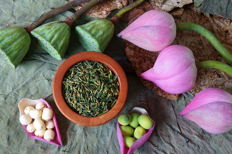 Liên tâm 2