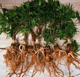 z7711588688738_a47ba6430f09aed3fd6039aa777d4401